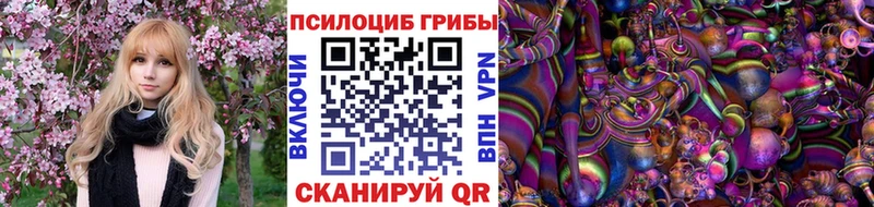закладки  Красноуральск  Псилоцибиновые грибы Psilocybine cubensis 